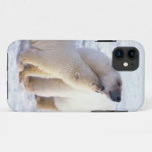 Ijsbeer met welp, pakijs Case-Mate iPhone case (Achterkant (horizontaal))