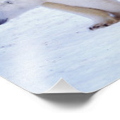 Ijsbeer met welpen foto afdruk (Hoek)