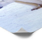 Ijsbeer met welpen poster (Hoek)