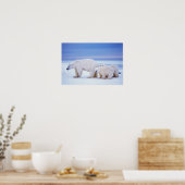 Ijsbeer met welpen poster (Keuken)