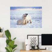 IJsbeer-moeder met welp, kudde Poster (Thuiskantoor)