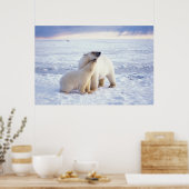 IJsbeer-moeder met welp, kudde Poster (Keuken)