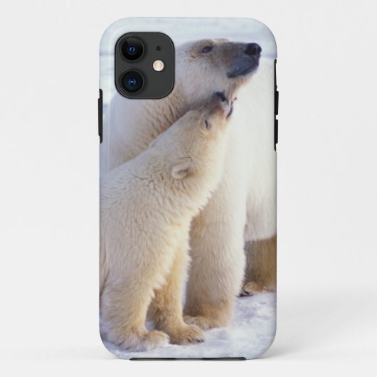 IJsbeer-moeder met welp, pakijs Case-Mate iPhone Case (Achterkant)