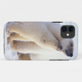 IJsbeer-moeder met welp, pakijs Case-Mate iPhone Case (Achterkant (horizontaal))