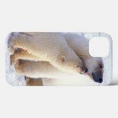 IJsbeer-moeder met welp, pakking Case-Mate iPhone Case (Achterkant (horizontaal))