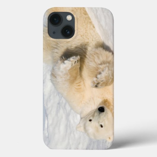 Ijsbeer nabij Hudsonbaai Case-Mate iPhone Case (Achterkant)