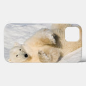 Ijsbeer nabij Hudsonbaai Case-Mate iPhone Case (Achterkant (horizontaal))