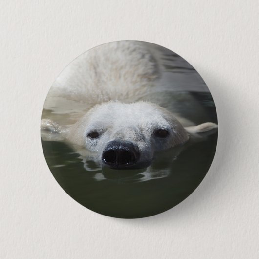 Ijsbeer Ronde Button 5,7 Cm (Voorkant)
