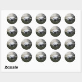 Ijsbeer Ronde Sticker (Vel)