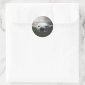 Ijsbeer Ronde Sticker (Tas)