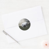 Ijsbeer Ronde Sticker (Envelop)