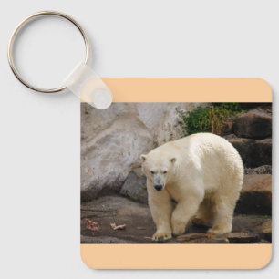 ijsbeer sleutelhanger