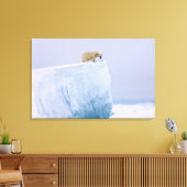 ijsbeer, Ursus maritimus Canvas Afdruk (Insitu (Woonkamer))