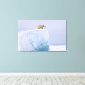 ijsbeer, Ursus maritimus Canvas Afdruk (Insitu (Houten vloer))