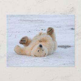ijsbeer, Ursus maritimus die, welp 3 rollen Briefkaart