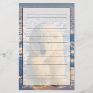 ijsbeer, Ursus maritimus, ijsbeer op ijs Briefpapier