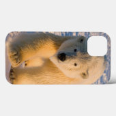 ijsbeer, Ursus maritimus, ijsbeer op ijs Case-Mate iPhone Case (Achterkant (horizontaal))