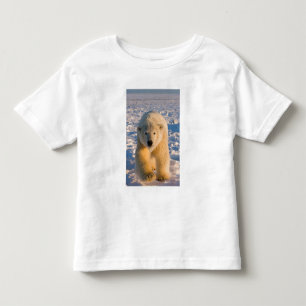 ijsbeer, Ursus maritimus, ijsbeer op ijs Kinder Shirts
