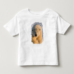 ijsbeer, Ursus maritimus, ijsbeer op ijs Kinder Shirts