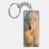 ijsbeer, Ursus maritimus, ijsbeer op ijs Sleutelhanger (Voorkant Links)