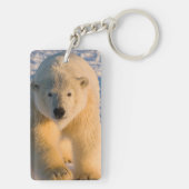 ijsbeer, Ursus maritimus, ijsbeer op ijs Sleutelhanger (achterkant)