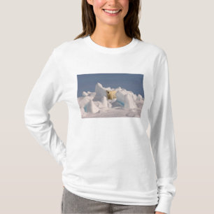 ijsbeer, Ursus maritimus, in ruw ijs T-shirt