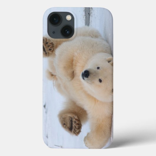 ijsbeer, Ursus maritimus, jong dier rolt 3 Case-Mate iPhone Case (Achterkant)