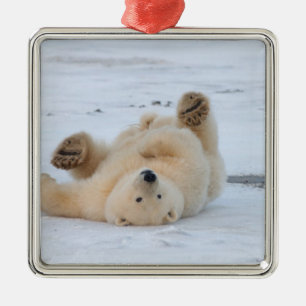 ijsbeer, Ursus maritimus, jong dier rolt 3 Metalen Ornament