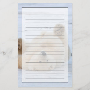ijsbeer, Ursus maritimus, jong rollebollend 3 Briefpapier