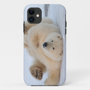 ijsbeer, Ursus maritimus, jong rollebollend 3 iPhone 11 Hoesje