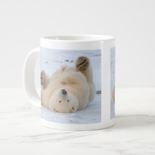 ijsbeer, Ursus maritimus, jong rollebollend 3 Grote Koffiekop