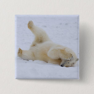 ijsbeer, Ursus maritimus, jong rollebollend Vierkante Button 5,1 Cm