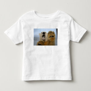 ijsbeer, Ursus maritimus, kijkt nieuwsgierig Kinder Shirts