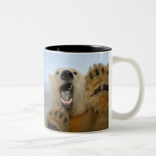 ijsbeer, Ursus maritimus, kijkt nieuwsgierig Tweekleurige Koffiemok