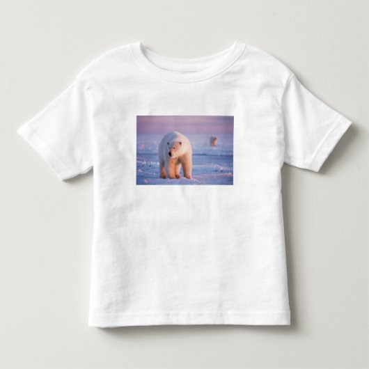 ijsbeer, Ursus maritimus Kinder Shirts (Voorkant)