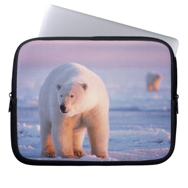 ijsbeer, Ursus maritimus Laptop Sleeve (Voorkant)