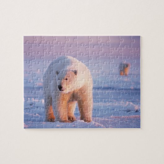 ijsbeer, Ursus maritimus Legpuzzel (Horizontaal)