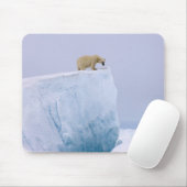 ijsbeer, Ursus maritimus Muismat (Met muis)