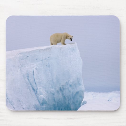 ijsbeer, Ursus maritimus Muismat (Voorkant)