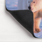 ijsbeer, Ursus maritimus Muismat (Hoek)
