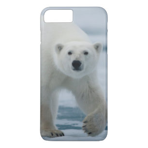 IJsbeer, Ursus Maritimus, Volwassen iPhone 8/7 Plus Hoesje
