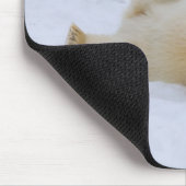 ijsbeer, Ursus maritimus, welp rollend Muismat (Hoek)