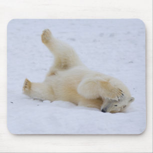 ijsbeer, Ursus maritimus, welp rollend Muismat