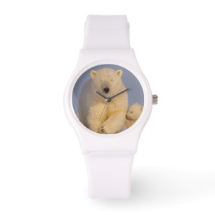 ijsbeer, Ursus maritimus, zeug met pasgeborene Horloge