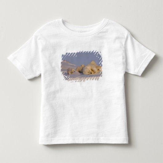 ijsbeer, Ursus maritimus, zeug speelt Kinder Shirts (Voorkant)