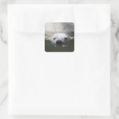 Ijsbeer Vierkante Sticker (Tas)