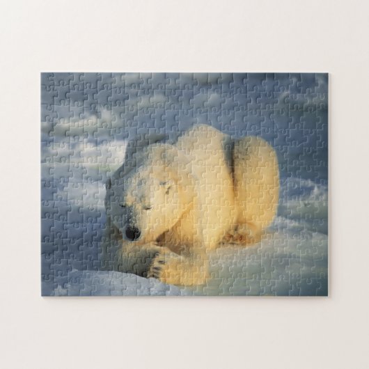 Ijsbeer Zonnebaadt, Legpuzzel (Horizontaal)