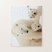 IJsbeerfamilie, legpuzzel (Verticaal)