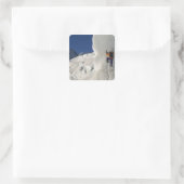 Ijsbeklimming op de Tasman-gletsjer onder Mount Vierkante Sticker (Tas)