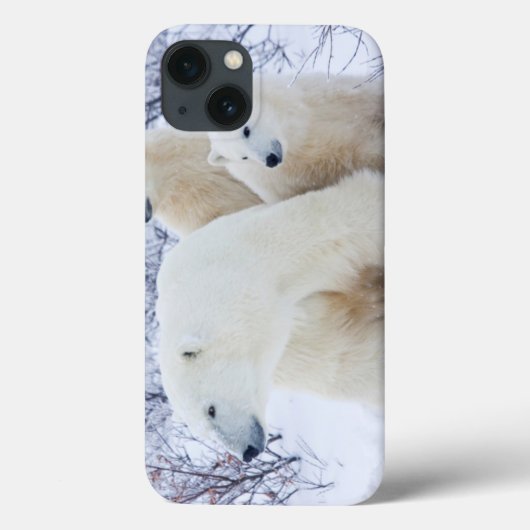 Ijsberen en twee welpen Case-Mate iPhone case (Achterkant)